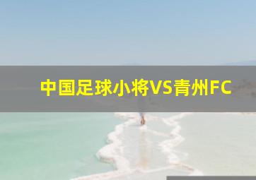 中国足球小将VS青州FC