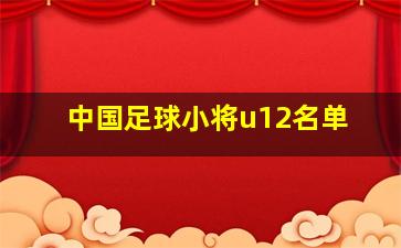 中国足球小将u12名单