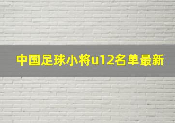 中国足球小将u12名单最新