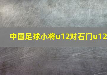 中国足球小将u12对石门u12