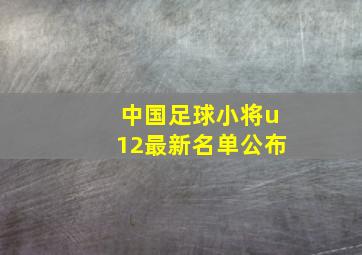 中国足球小将u12最新名单公布