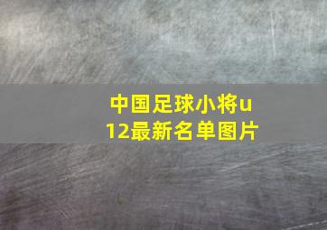 中国足球小将u12最新名单图片