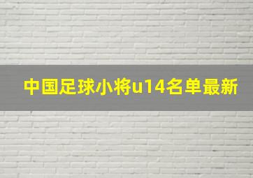 中国足球小将u14名单最新