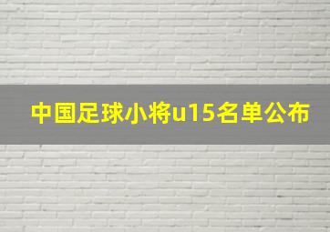 中国足球小将u15名单公布