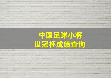 中国足球小将世冠杯成绩查询