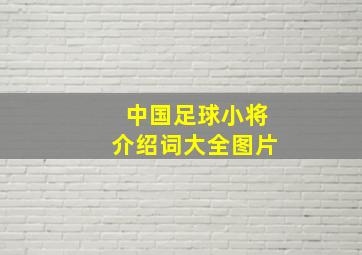 中国足球小将介绍词大全图片