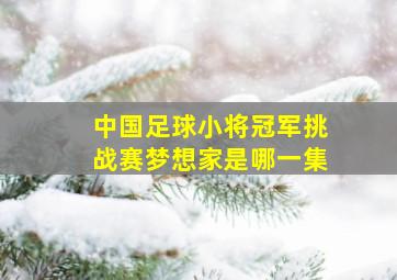 中国足球小将冠军挑战赛梦想家是哪一集