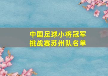 中国足球小将冠军挑战赛苏州队名单