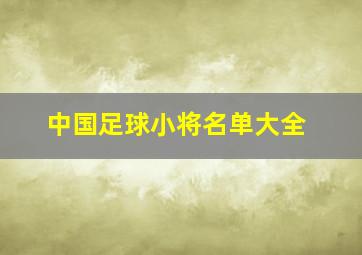 中国足球小将名单大全