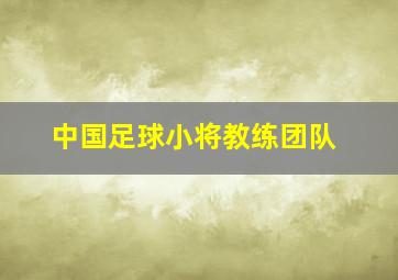 中国足球小将教练团队