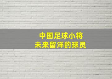 中国足球小将未来留洋的球员