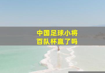 中国足球小将百队杯赢了吗