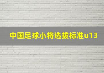 中国足球小将选拔标准u13