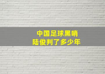 中国足球黑哨陆俊判了多少年