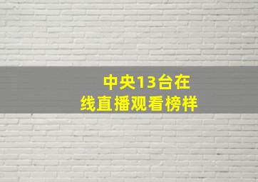 中央13台在线直播观看榜样