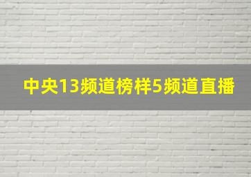 中央13频道榜样5频道直播