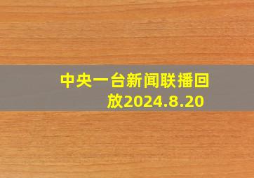 中央一台新闻联播回放2024.8.20