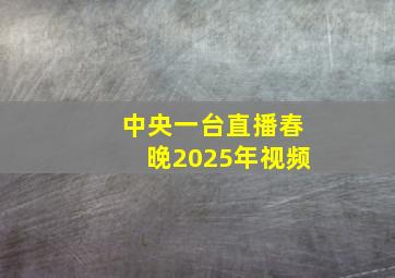 中央一台直播春晚2025年视频