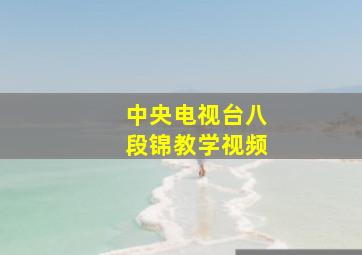 中央电视台八段锦教学视频