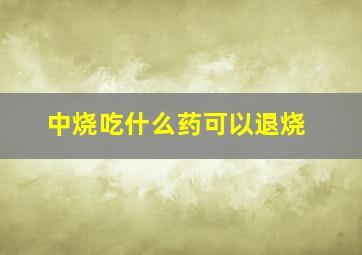 中烧吃什么药可以退烧