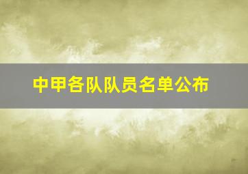 中甲各队队员名单公布