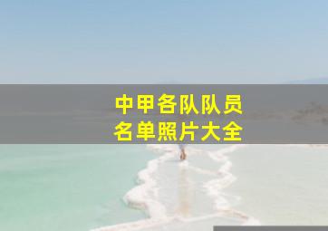 中甲各队队员名单照片大全