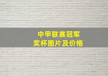 中甲联赛冠军奖杯图片及价格