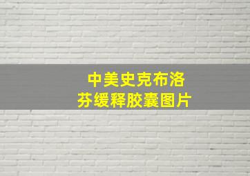 中美史克布洛芬缓释胶囊图片