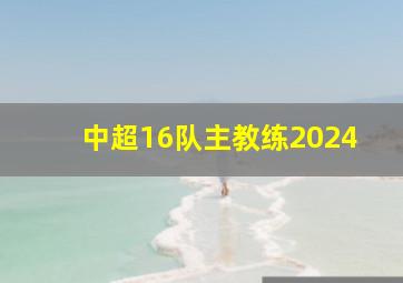 中超16队主教练2024