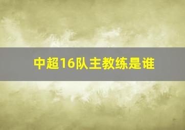 中超16队主教练是谁