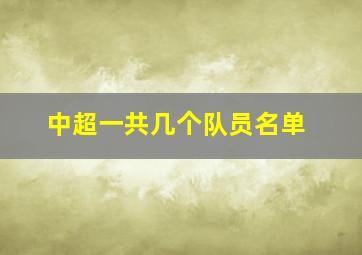 中超一共几个队员名单