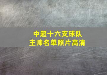 中超十六支球队主帅名单照片高清