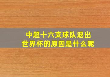 中超十六支球队退出世界杯的原因是什么呢