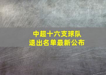 中超十六支球队退出名单最新公布