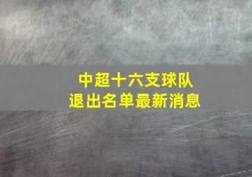 中超十六支球队退出名单最新消息