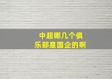 中超哪几个俱乐部是国企的啊