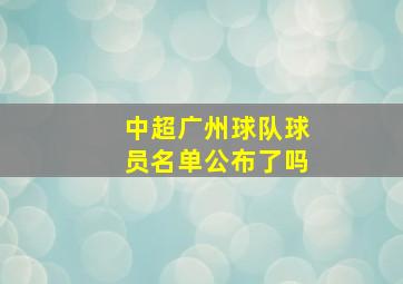 中超广州球队球员名单公布了吗