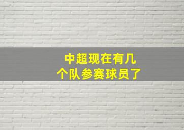 中超现在有几个队参赛球员了