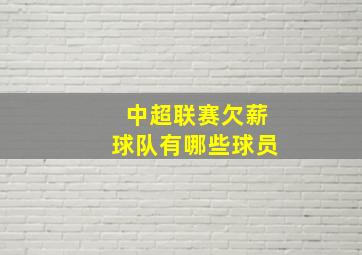 中超联赛欠薪球队有哪些球员