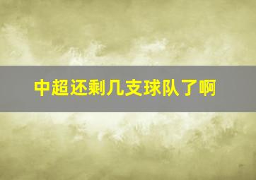 中超还剩几支球队了啊