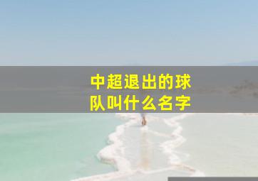 中超退出的球队叫什么名字