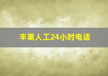 丰巢人工24小时电话