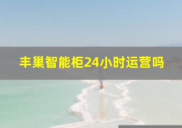 丰巢智能柜24小时运营吗