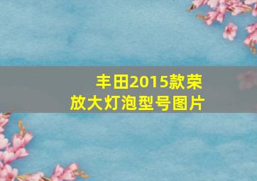 丰田2015款荣放大灯泡型号图片