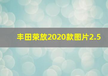 丰田荣放2020款图片2.5