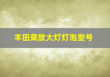 丰田荣放大灯灯泡型号