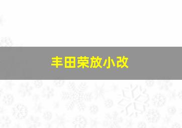 丰田荣放小改