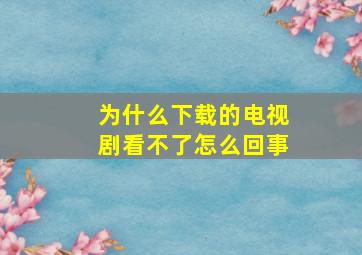 为什么下载的电视剧看不了怎么回事