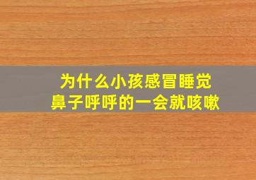 为什么小孩感冒睡觉鼻子呼呼的一会就咳嗽