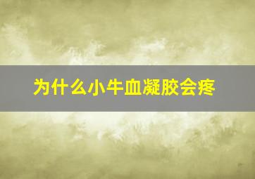 为什么小牛血凝胶会疼